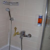 ゴールドの蛇口が温泉。