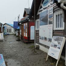 観光桟橋前には他のツアー会社のブースも並んでいます。