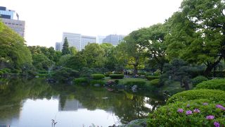 四季を感じられる公園