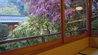 ゆっくり落ち着いた時間を過ごせます。