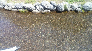 思ったより楽しめました