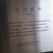 凄く素敵な記述だと思いました