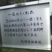 イチイ松の解説はこちらで。