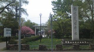 見所が満載の神社です