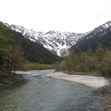 春はこんな感じ