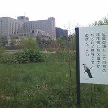 自然環境にも十分配慮されたサイクリングロードです