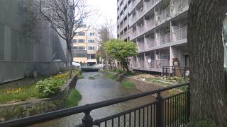 色々な場所で好みの鴨々川の風景を探すのが意外と楽しいです