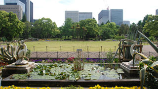 緑と花々に囲まれた静かな場所