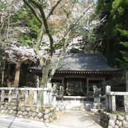 桜咲く神社