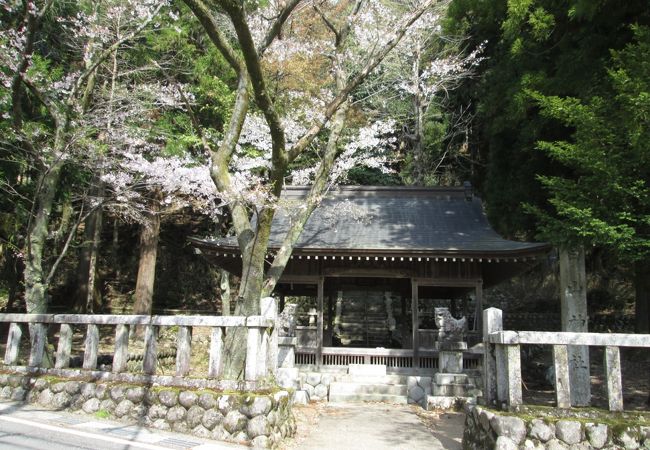 桜咲く神社