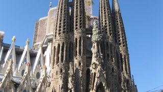 午前中は長蛇の列！