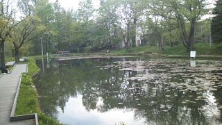 現在では凄く綺麗に木道が整備されています