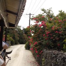 乗りながらの風景