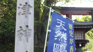 ツツジは有名ですが、こう人が多くては・・・。