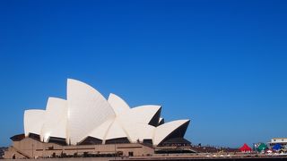 飲んで見るか見てから飲むか