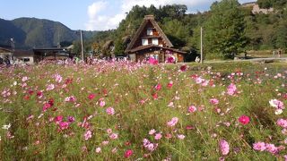 模型のような世界遺産