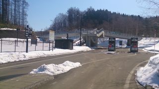 春の営業が始まりました