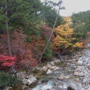 「日本の自然１００選」の「赤沢自然休養林」
