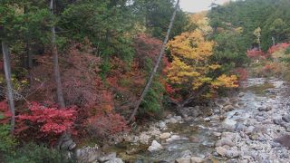 「日本の自然１００選」の「赤沢自然休養林」