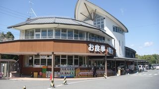 ウミガメが見られます。