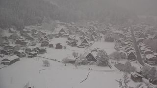 シャトルバスで展望台まで楽に行ける