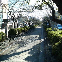 車道の真ん中に地面があります。