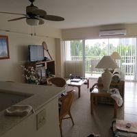 低層階だと前に木があります