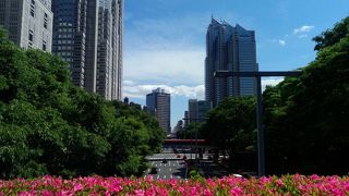 今日の空は青いな