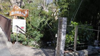 １人で自然に囲まれて気分転換出来る