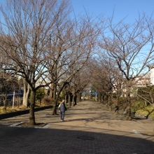 冬ばれの気持ち良い公園だった