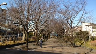 細長い細長い公園