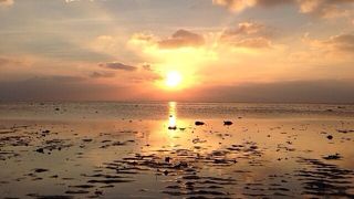 マングローブと夕日