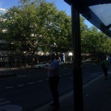 バス停はこんな感じ