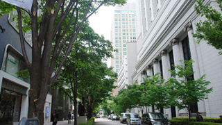 おしゃれな通り