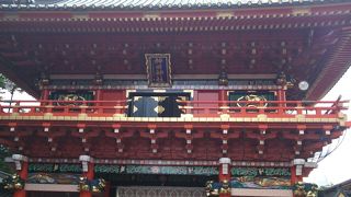 意外と広く、凄い。