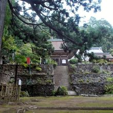 見返りの大杉と石崖上の国重要文化財の仏殿・山門。