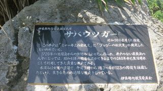 絶景☆海のグラデーション！