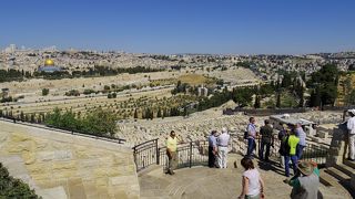 旧エルサレムの街を一望