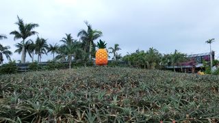 子供が楽しめる