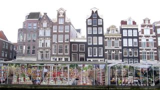 アムステルダム名物の花市