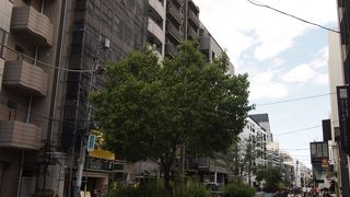 おしゃれなお店が並ぶ界隈