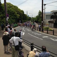 遠くから軍団がやってくるのが見える