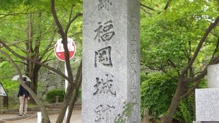 大河ドラマで一躍有名に