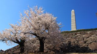 甲府で断トツに目立っている謝恩碑