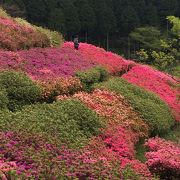 無料で利用できる公園です