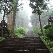 天狗が棲んでる・・・きっと・・・