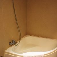 バスタブはあるもののシャワーのお湯の出はちょろちょろ・・・。