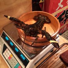 取ったエビです。