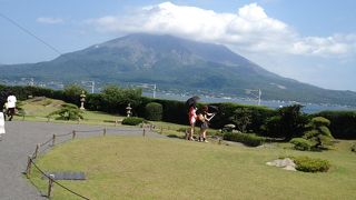 きれいに整備されすぎ