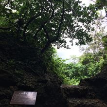 この向こうに久高島が見えます。